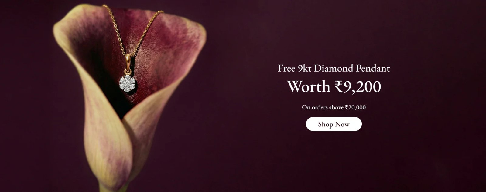 Premium Gifts Collection